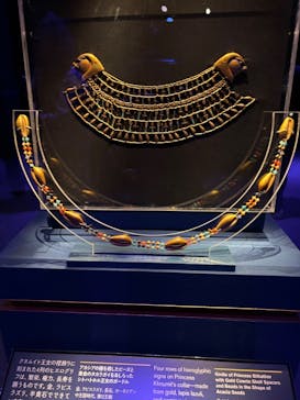 ACN ラムセス大王展 ファラオたちの黄金に投稿された画像（2025/11/15）