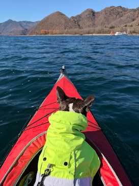 ボンファイアー（日光カヌー・カヤック体験）に投稿された画像（2025/11/15）