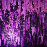 東京メガイルミに投稿された画像（2025/11/15）