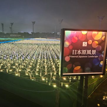 東京メガイルミに投稿された画像（2025/11/15）