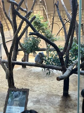 名古屋市東山動植物園に投稿された画像（2025/11/15）