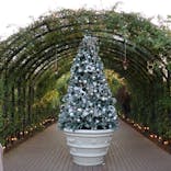 横浜イングリッシュガーデンに投稿された画像（2025/11/15）