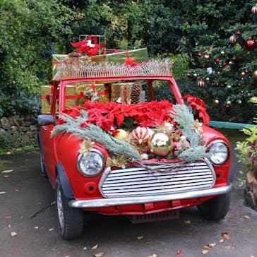 横浜イングリッシュガーデンに投稿された画像（2025/11/15）