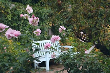 横浜イングリッシュガーデンに投稿された画像（2025/11/15）