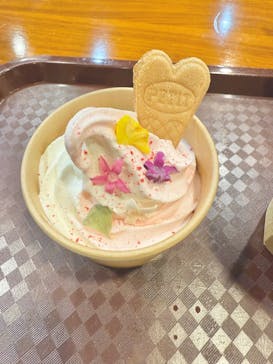 横浜イングリッシュガーデンに投稿された画像（2025/11/15）