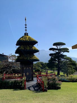 仙巌園に投稿された画像（2025/11/15）