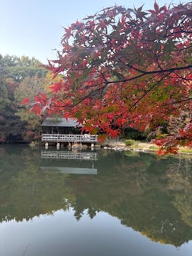 名古屋市東山動植物園に投稿された画像（2025/11/15）