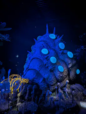 金曜ロードショーとジブリ展（静岡展）に投稿された画像（2025/11/15）