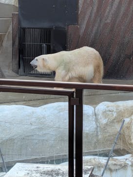 恩賜上野動物園に投稿された画像（2025/11/15）