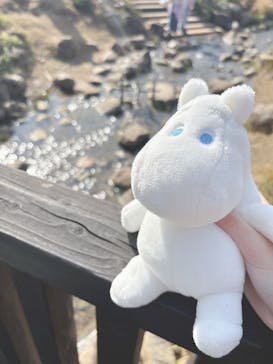 ムーミンバレーパークに投稿された画像（2025/11/15）