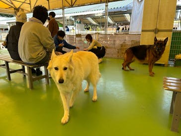 つくばわんわんランドに投稿された画像（2025/11/15）