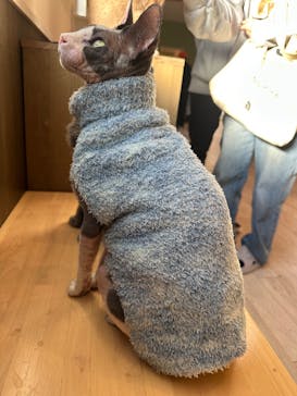 つくばわんわんランドに投稿された画像（2025/11/15）