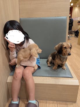 いぬカフェRio 浅草店に投稿された画像（2025/11/15）