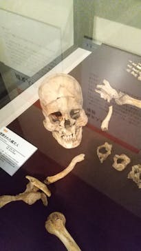 特別展　世界遺産　縄文に投稿された画像（2025/11/15）