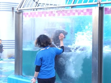 ゼロ距離水族館 伊勢シーパラダイスに投稿された画像（2025/11/15）