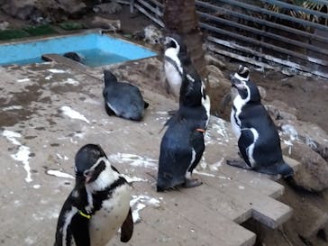 ゼロ距離水族館 伊勢シーパラダイスに投稿された画像（2025/11/15）