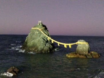 ゼロ距離水族館 伊勢シーパラダイスに投稿された画像（2025/11/15）