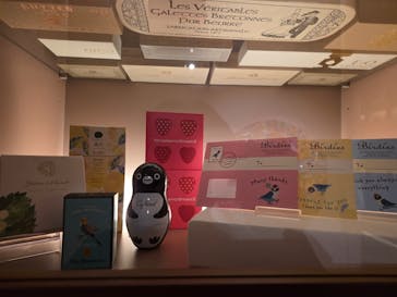 felissimo chocolate museum（フェリシモチョコレートミュージアム）に投稿された画像（2025/11/15）