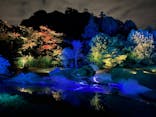 ZEN NIGHT WALK KAMAKURAに投稿された画像（2025/11/15）