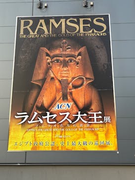 ACN ラムセス大王展 ファラオたちの黄金に投稿された画像（2025/11/15）