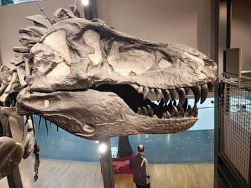 福井県立恐竜博物館に投稿された画像（2025/11/15）