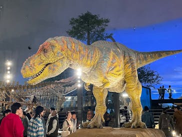 福井県立恐竜博物館に投稿された画像（2025/11/15）