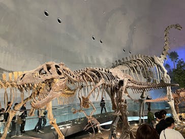 福井県立恐竜博物館に投稿された画像（2025/11/15）