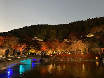 勝尾寺に投稿された画像（2025/11/15）