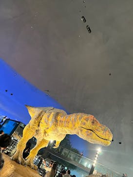 福井県立恐竜博物館に投稿された画像（2025/11/15）