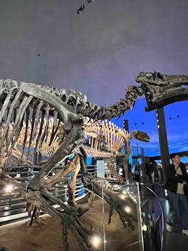 福井県立恐竜博物館に投稿された画像（2025/11/15）