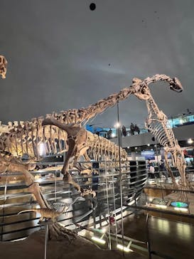 福井県立恐竜博物館に投稿された画像（2025/11/15）