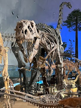 福井県立恐竜博物館に投稿された画像（2025/11/15）