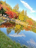国営昭和記念公園 秋の夜散歩に投稿された画像（2025/11/15）