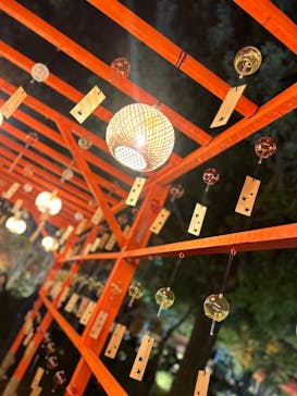 国営昭和記念公園 秋の夜散歩に投稿された画像（2025/11/15）