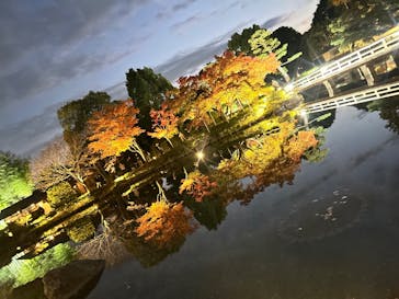 国営昭和記念公園 秋の夜散歩に投稿された画像（2025/11/15）