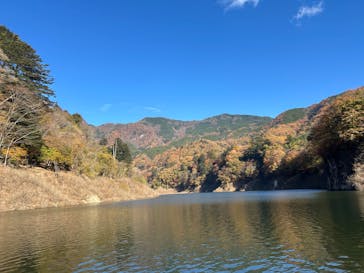 mizudori ミズドリガイドに投稿された画像（2025/11/15）