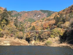 mizudori ミズドリガイドに投稿された画像（2025/11/15）