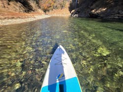 mizudori ミズドリガイドに投稿された画像（2025/11/15）