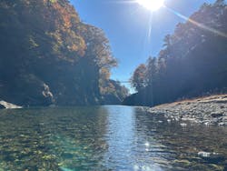 mizudori ミズドリガイドに投稿された画像（2025/11/15）