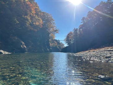 mizudori ミズドリガイドに投稿された画像（2025/11/15）