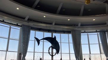 アクアワールド茨城県大洗水族館に投稿された画像（2025/11/15）