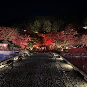 勝尾寺に投稿された画像（2025/11/15）