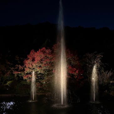 勝尾寺に投稿された画像（2025/11/15）