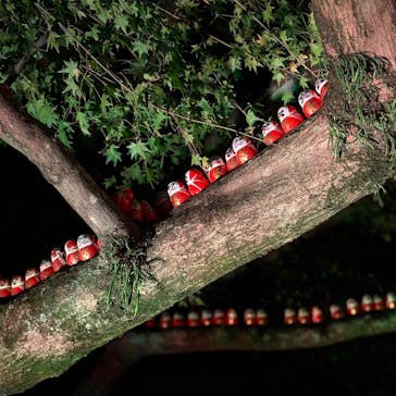 勝尾寺に投稿された画像（2025/11/15）