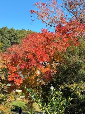 名古屋市東山動植物園に投稿された画像（2025/11/15）