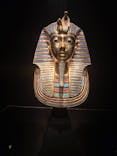 MYSTERY OF TUTANKHAMEN 体感型古代エジプト展に投稿された画像（2025/11/15）