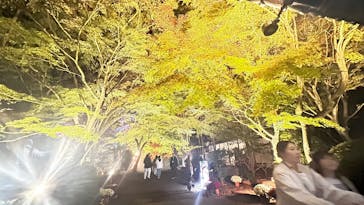 修善寺虹の郷に投稿された画像（2025/11/15）