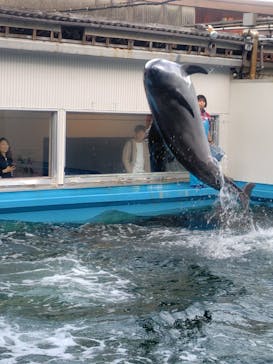 ゼロ距離水族館 伊勢シーパラダイスに投稿された画像（2025/11/15）