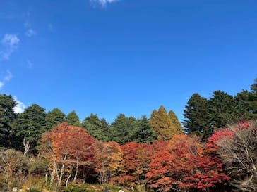 神戸六甲ミーツ・アート2025 beyondに投稿された画像（2025/11/15）