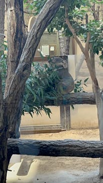 名古屋市東山動植物園に投稿された画像（2025/11/15）